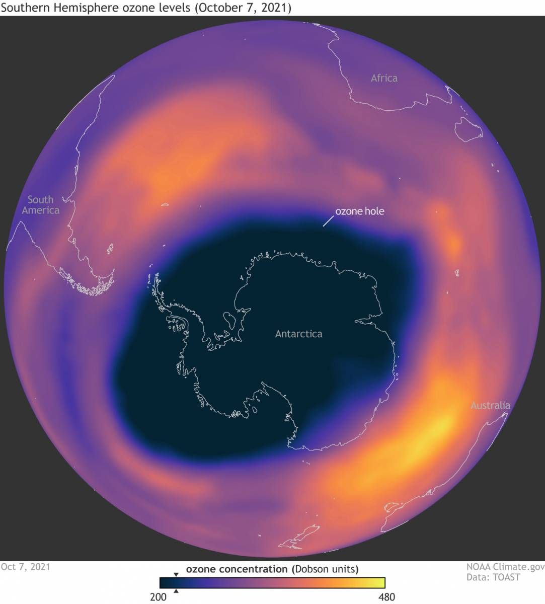 Map of globe showing the ozone hole over Antarctica. Higher ozone levels are shown to the north and colored as purple, pink, red, orange, and yellow.