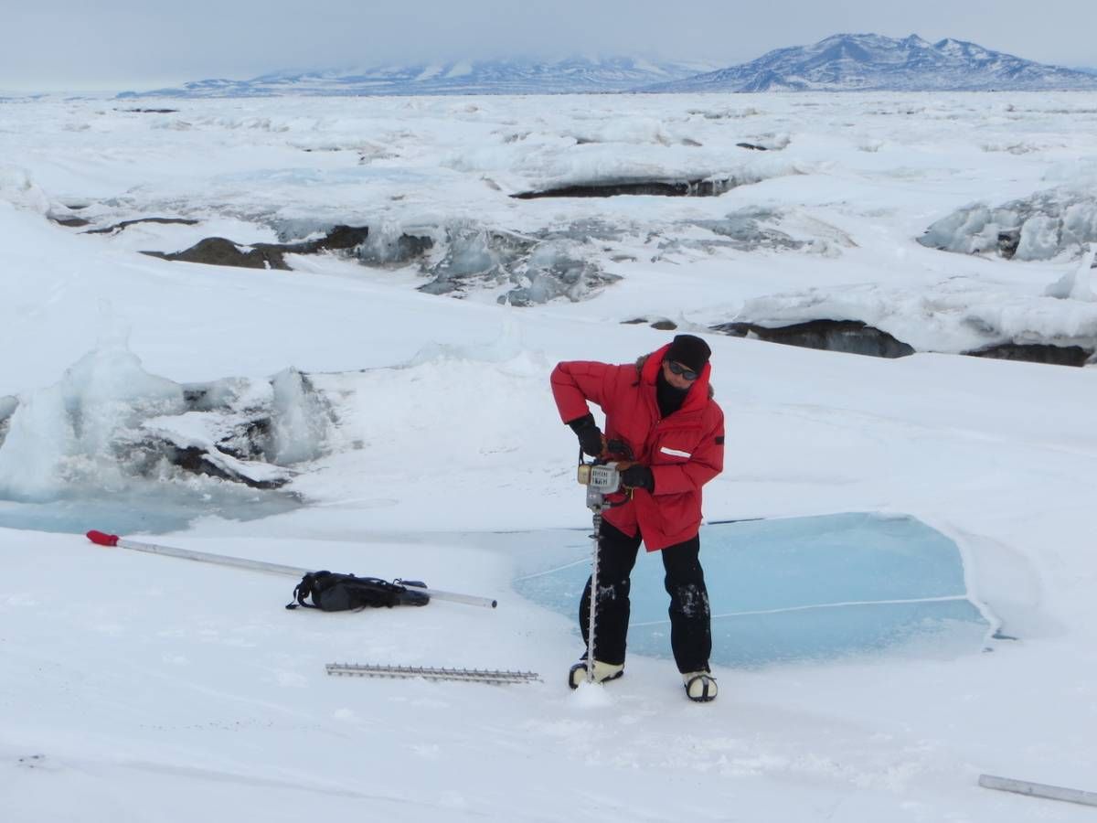 A person wearing a red winter coat and winter gear drills into the ice near his feet.