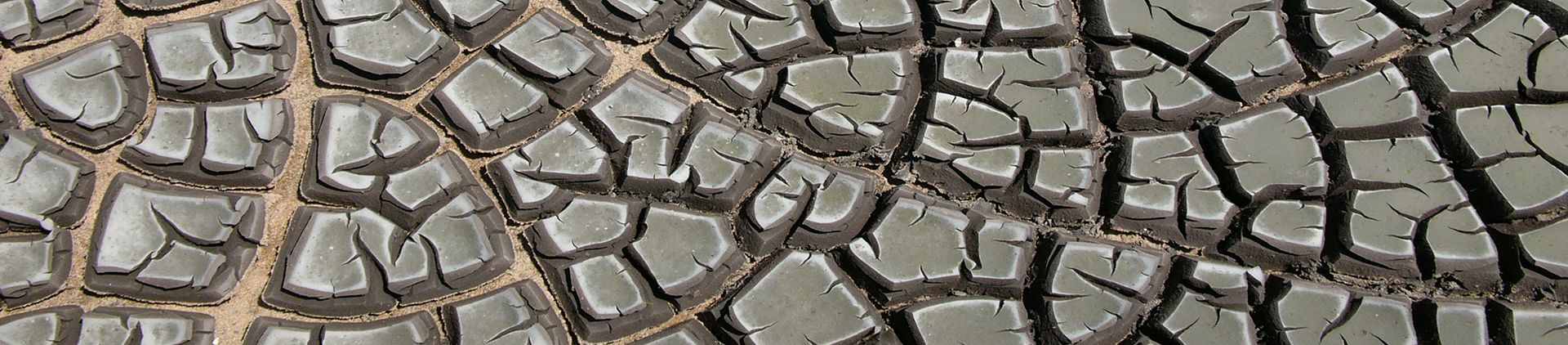 Drying mud.