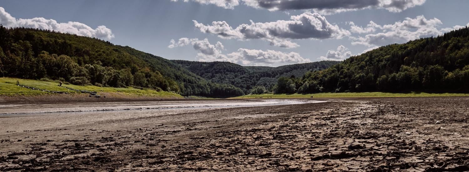 Panoramic photo of a dry riverbed with a hill and trees in the background. 