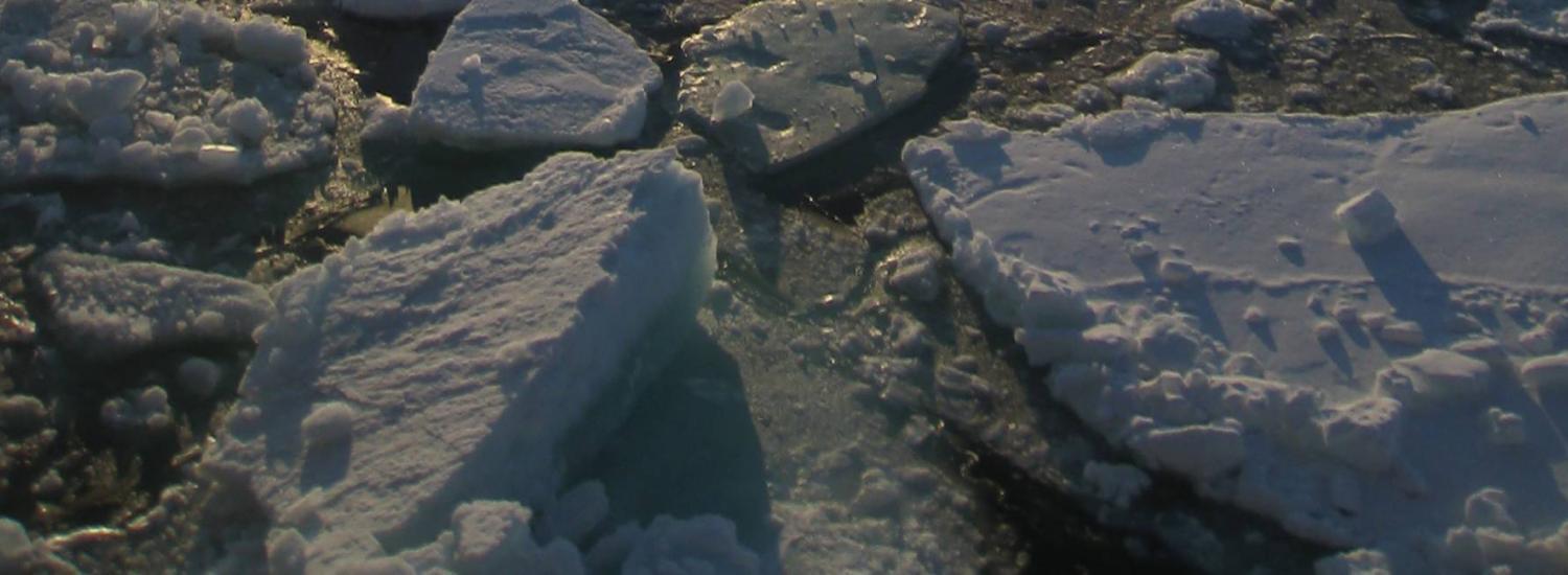 Sea ice / NOAA