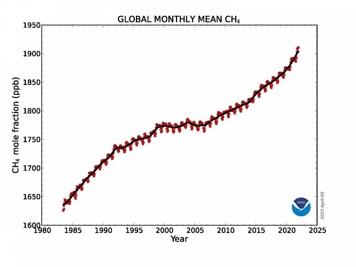 Global Monthly Mean CH4