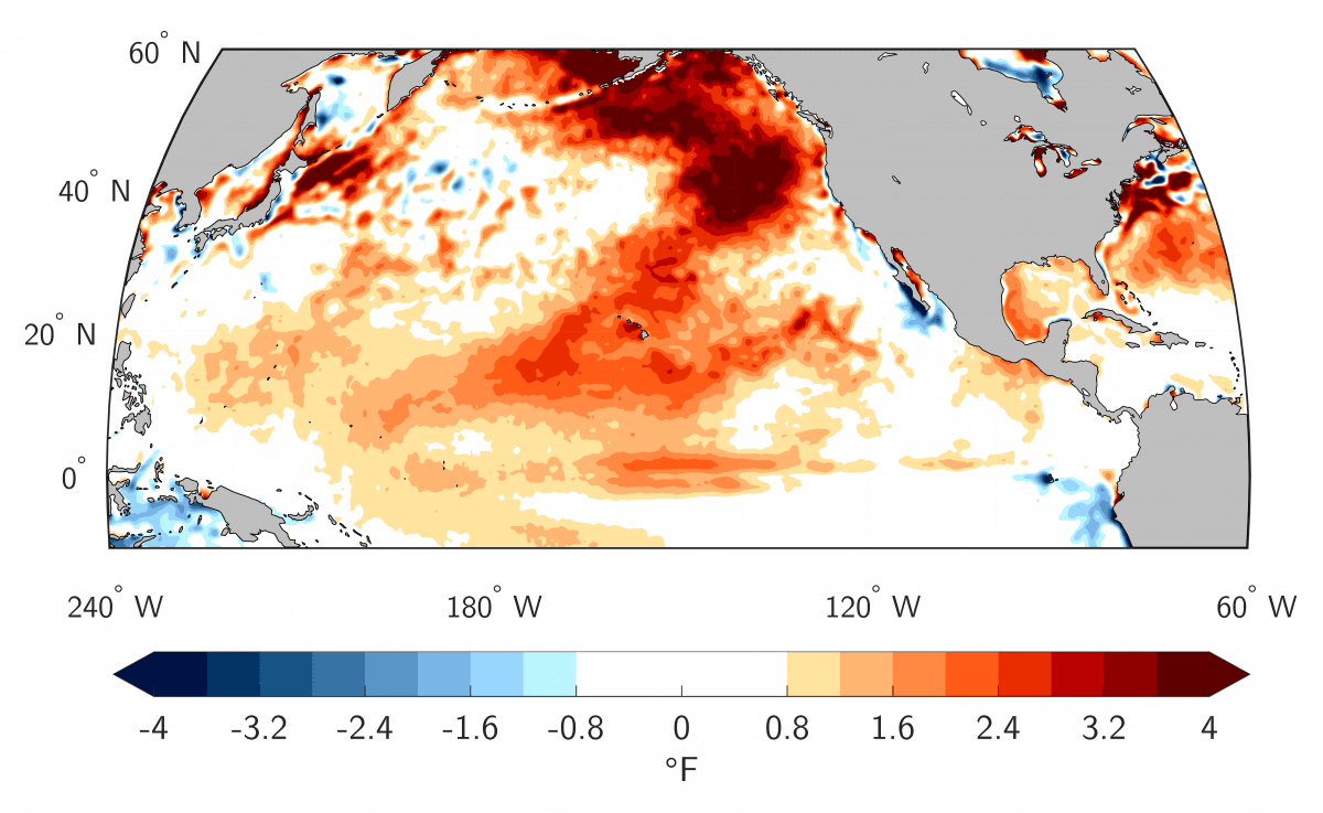 Satellite measurements of sea surface temperatures.