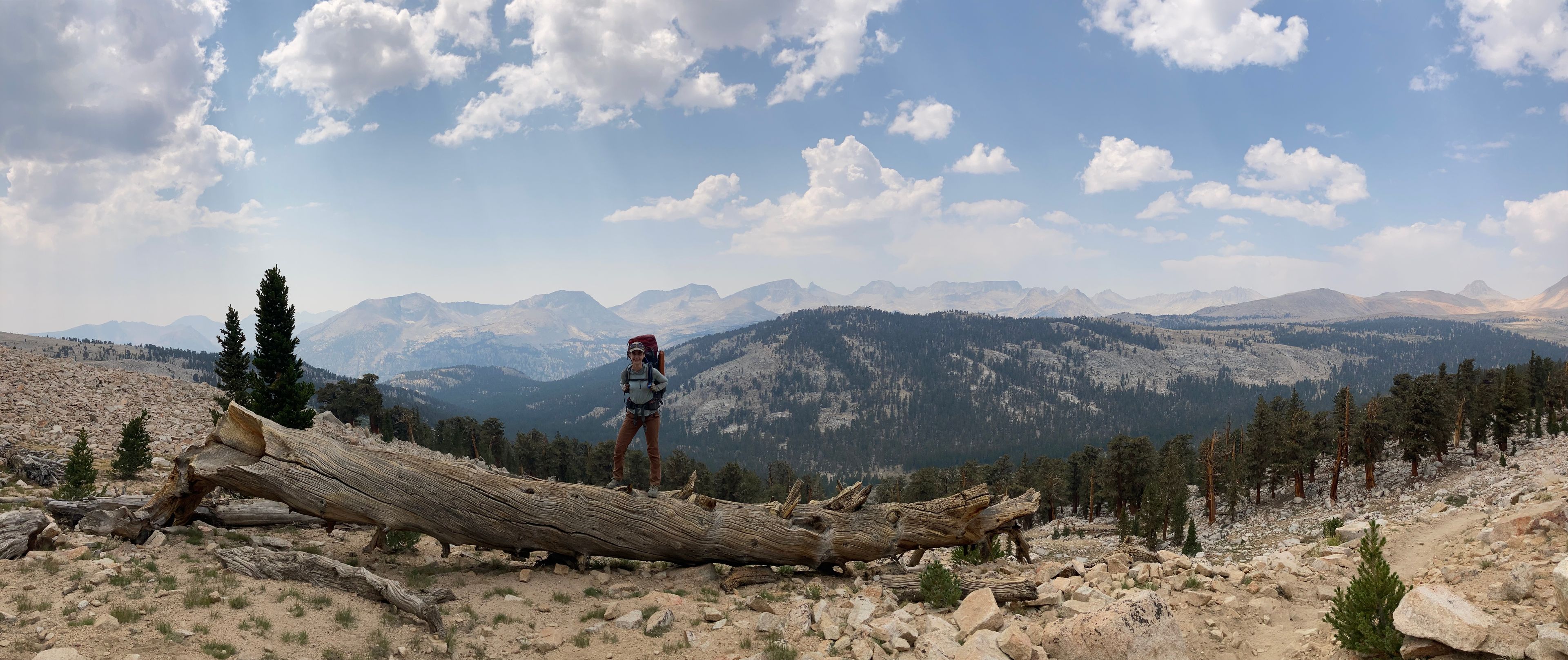 Katherine Siegel pauses in the alpine in Kings Canyon National Park