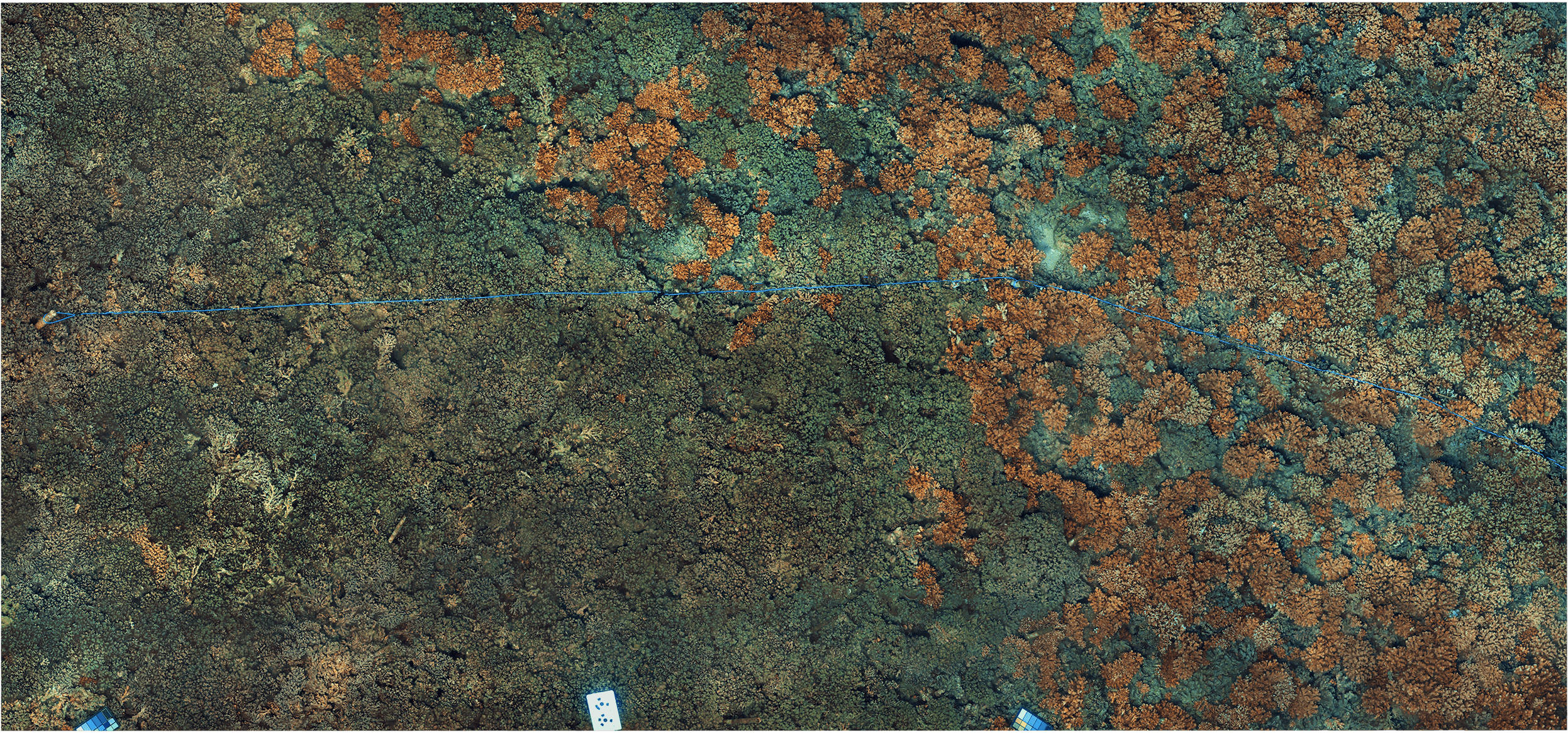 An orthomosaic cobbled together with mapping tools