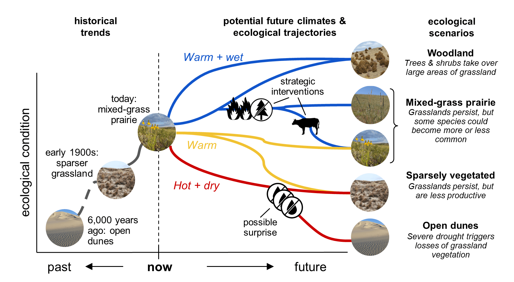 Scientists at the North Central Climate Adaptation Science Center are collaborating with managers in the Nebraska Sandhills to develop scenarios of future ecological change under different climate conditions, disturbance events like fires and extreme droughts, and land uses like grazing. 