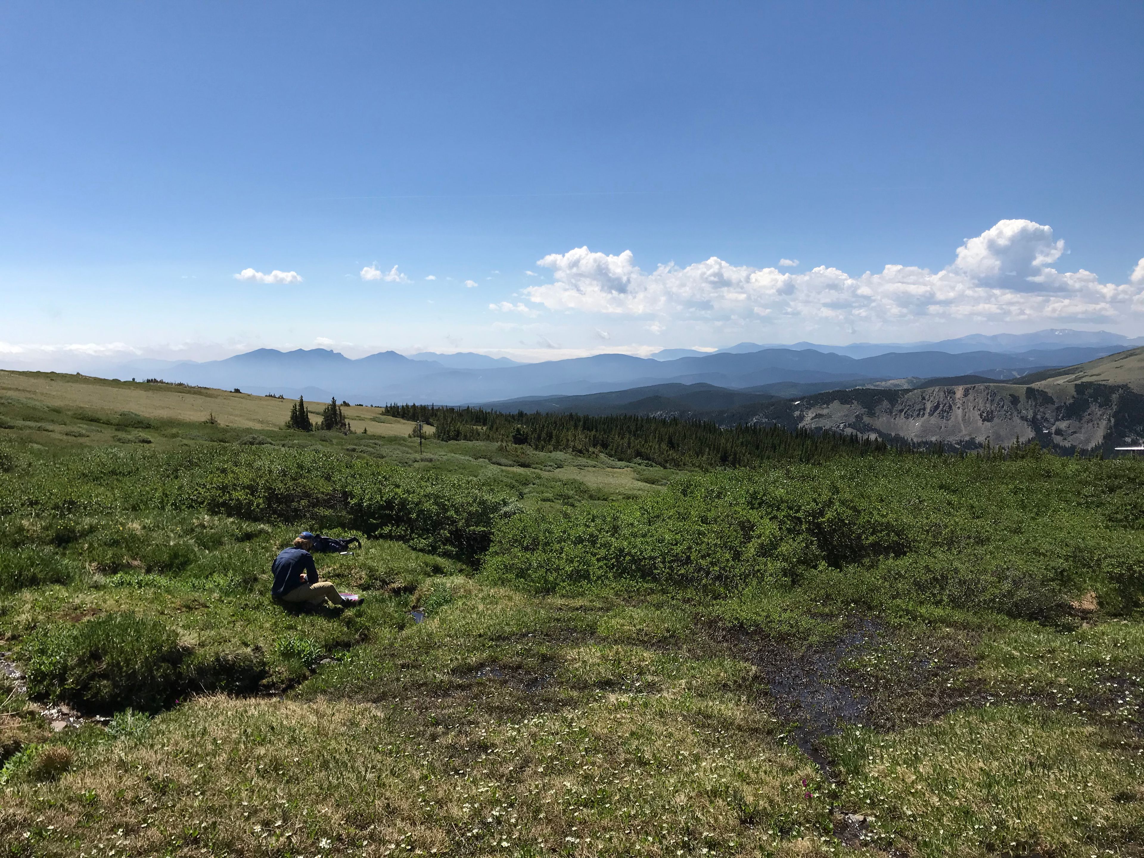 Researchers in Eve-Lyn Hinckley's Environmental Biogeochemistry Group collect samples for the study
