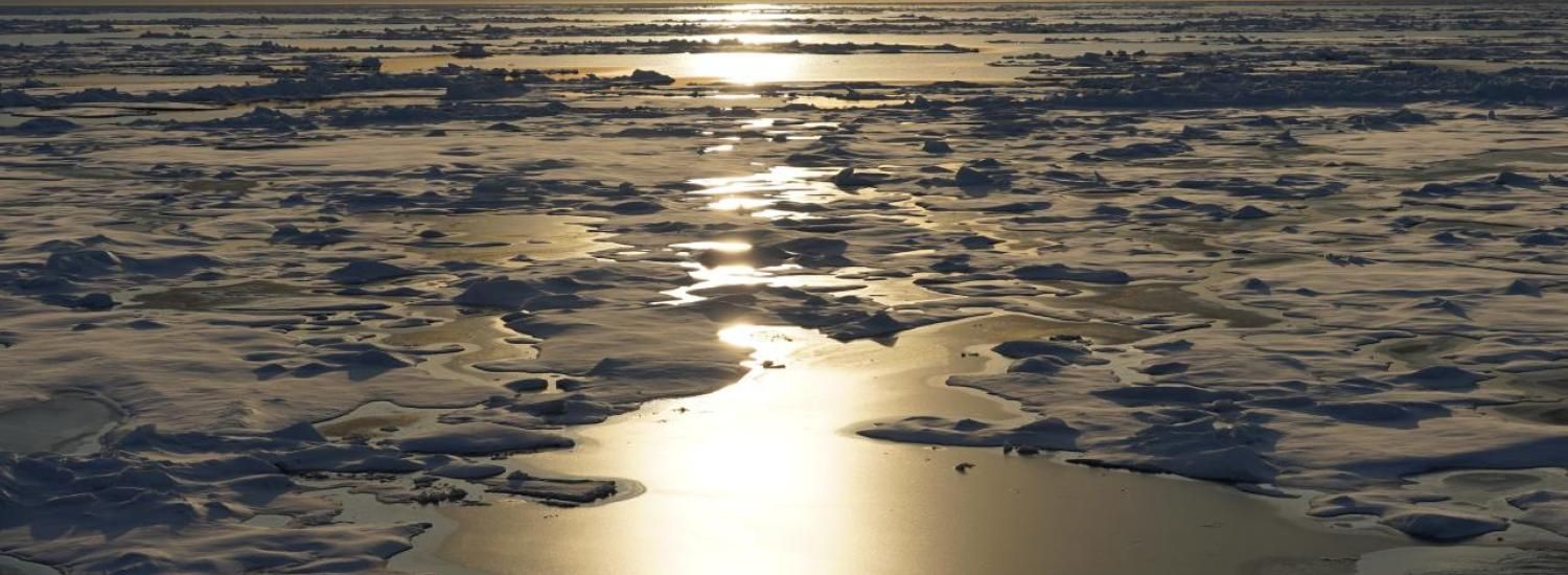 Arctic sea ice reaches maximum extent for 2024