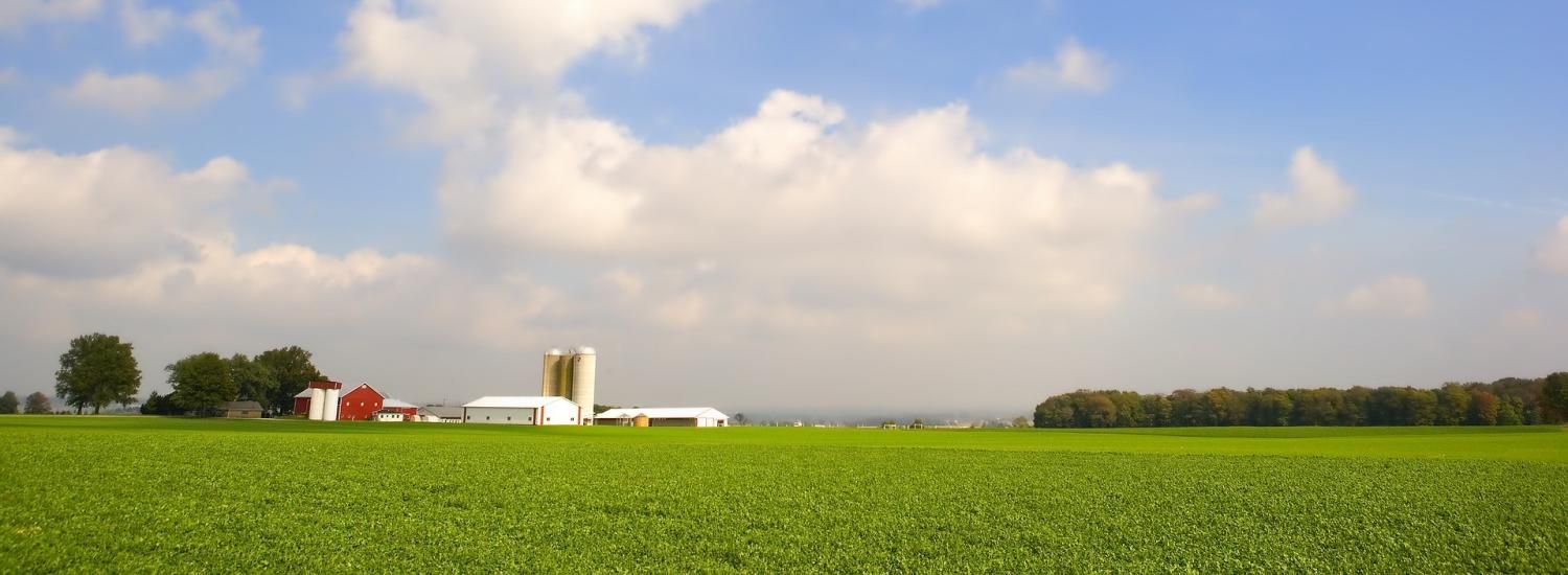 A green farm with buildings and silos in the background. 