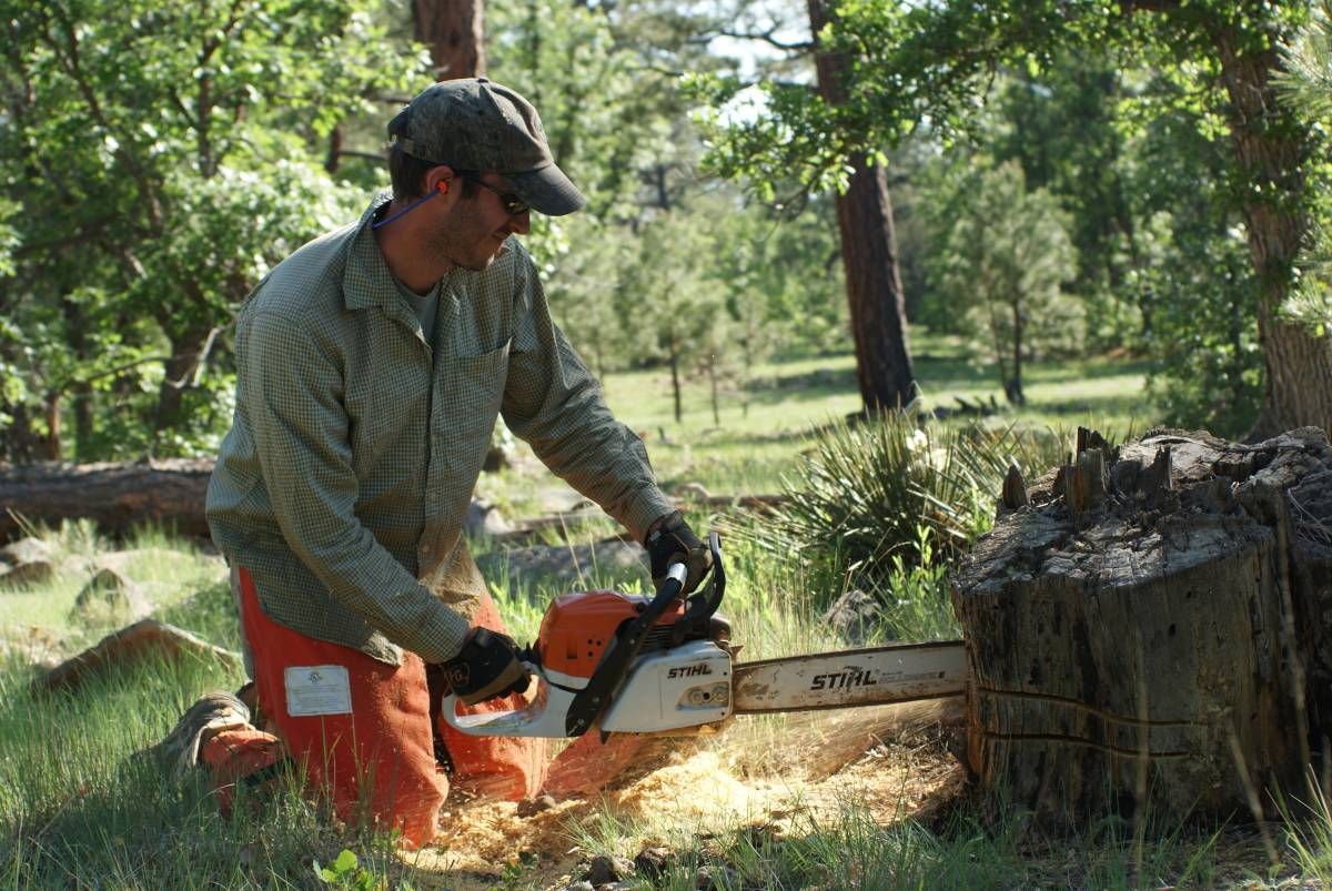 man using chainsaw on tree stump