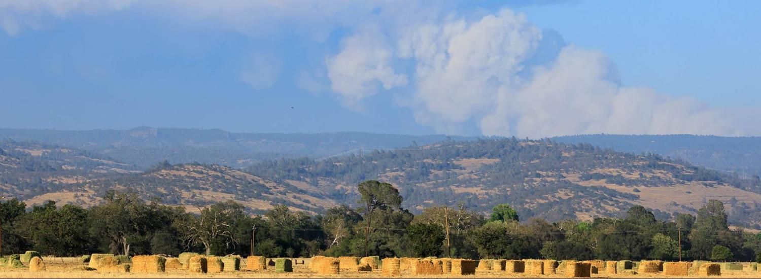 Panoramic photo of billowing smoke spreading through the sky above tree-covered foothills, with a field with hay bales in the foreground. 