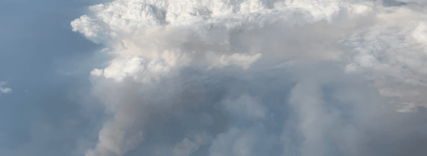 Tall clouds above a wildfire
