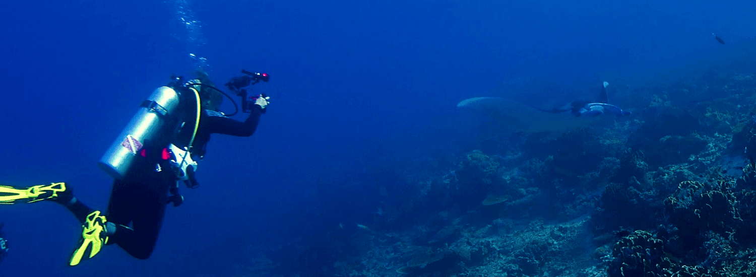 scuba diver deep in the sea with coral reefs