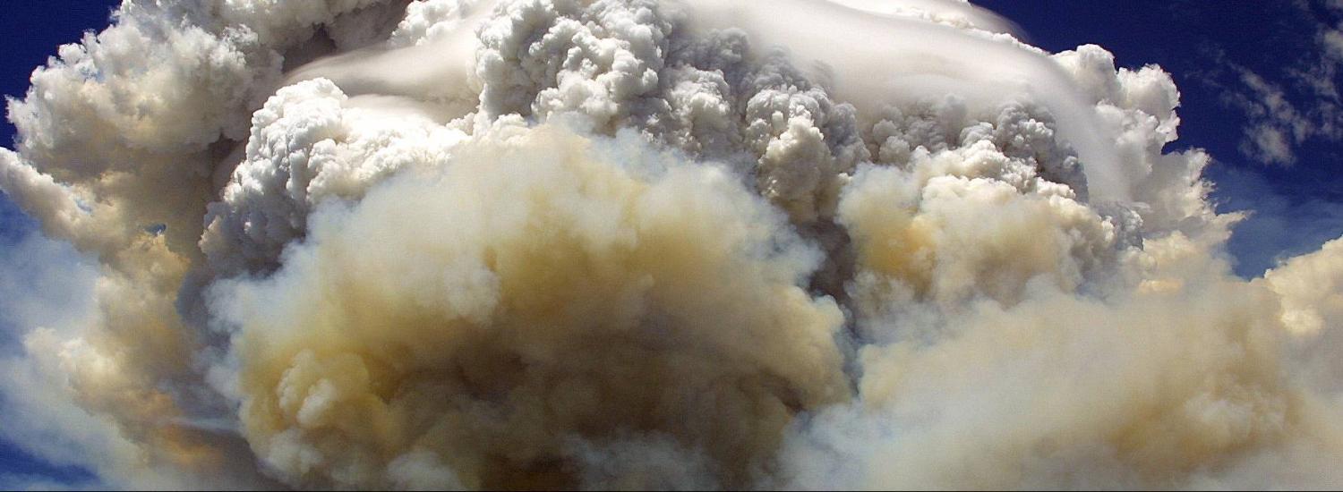 A towering cloud of smoke billows in the Willow Fire near Payson, Arizona on July 8, 2004. 