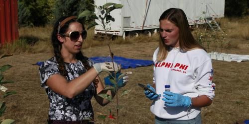 two young women researchers are holding a sapling tree, recording data