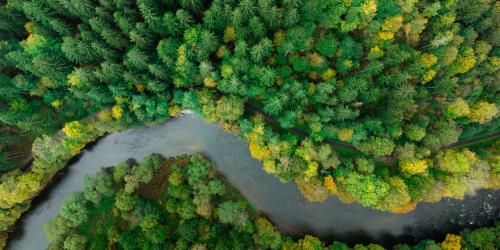 Drone image of green forest and meandering river