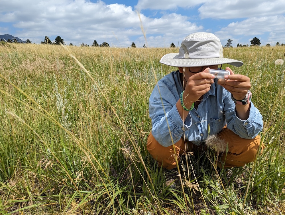 A student inspects a grasshopper in a field