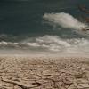 Drought in a desert 