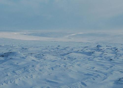 arctic landscape