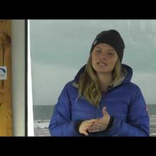 M7 L8: Polarbears: Changing Climate Ecosystems with Alysa McCall, Dr. Steve Amstrup and Trude Hohle