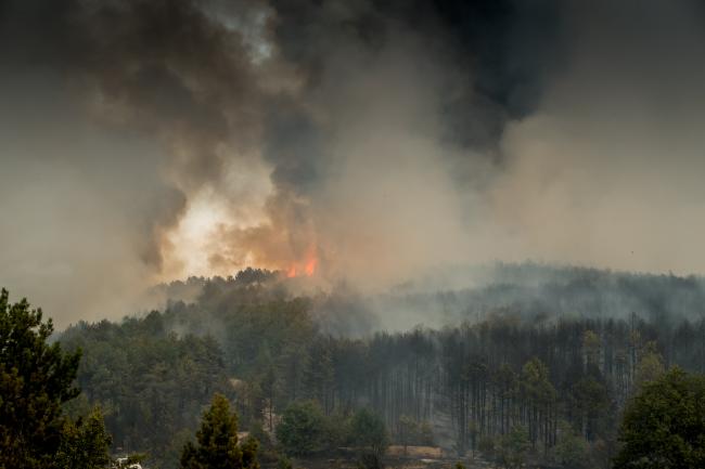 Colorado Wildfire by Nikolay Kondev