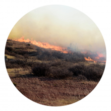 RISE Challenge Support Series: Wildfire Webinar