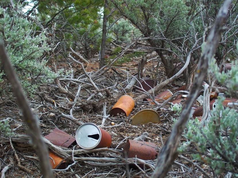 cans and trash dumped in a forest, more specifically illegal dumping on the Navajo Reservation