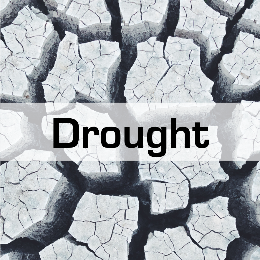 Drought gallery