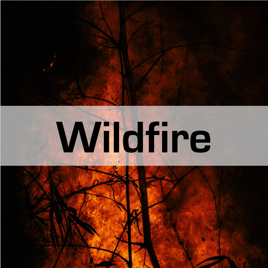 Wildfire gallery