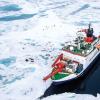 Polarstern frozen in the ice by Lianna Nixon