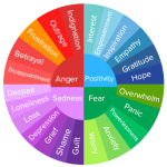 A picture of a rainbow wheel with a different color for each emotion. 