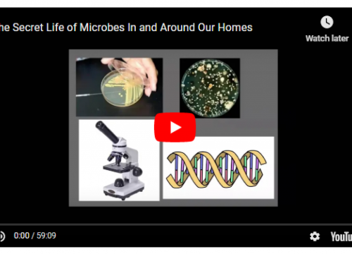 Screenshot of microbes webinar on youtube