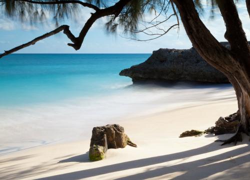 A beautiful and remote, white sand beach with a rocky outcrop framed by a tree.