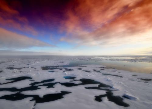 Sea ice at sun rise