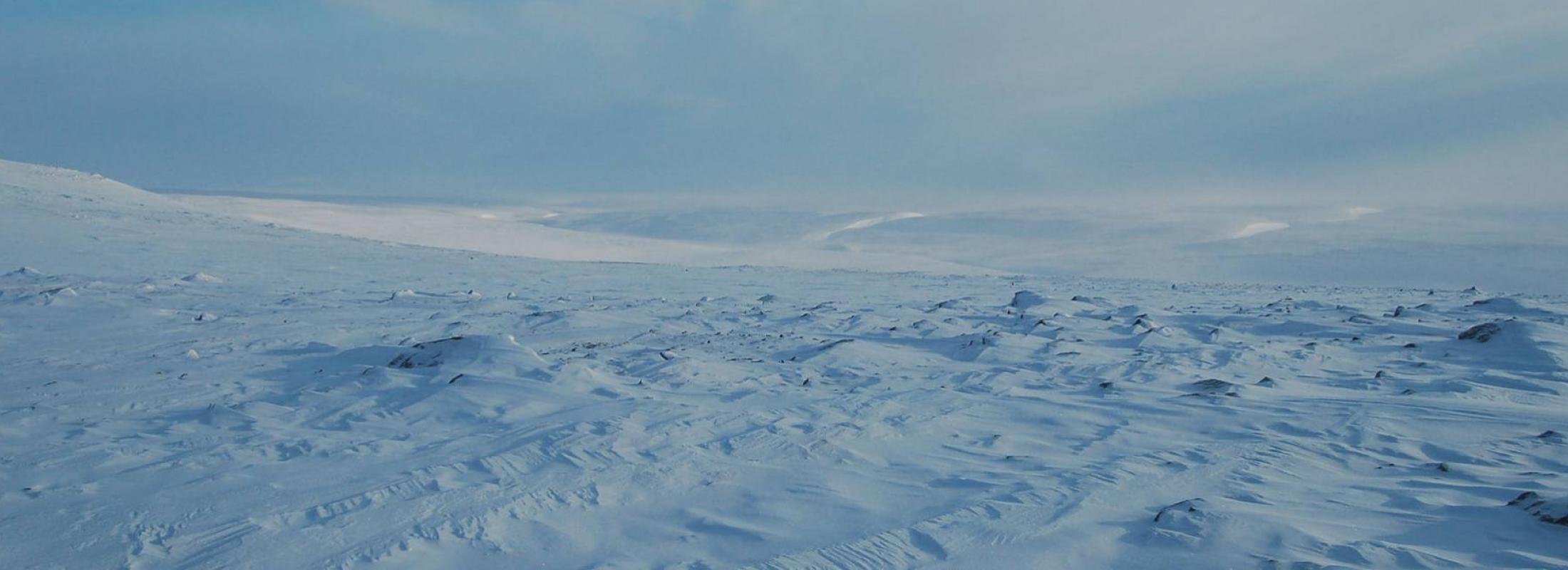 arctic landscape