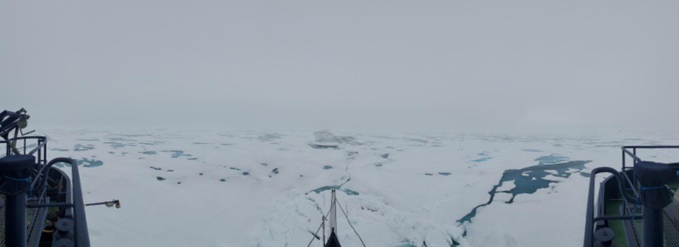 Photograph of Arctic Ice during the SAS-21 Research Expedition on I/B Oden
