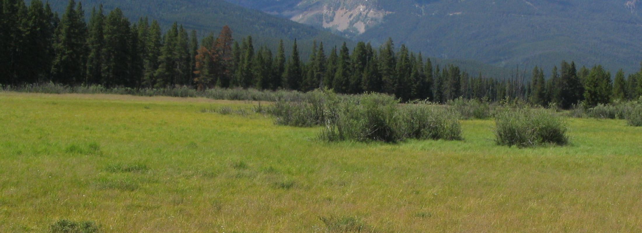 Photo of the Kawuneeche Valley, Rocky Mountain National Park, Colorado, taken by Ken Lund, Creative Commons license