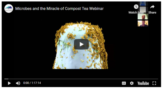 Screenshot of microbes webinar on youtube