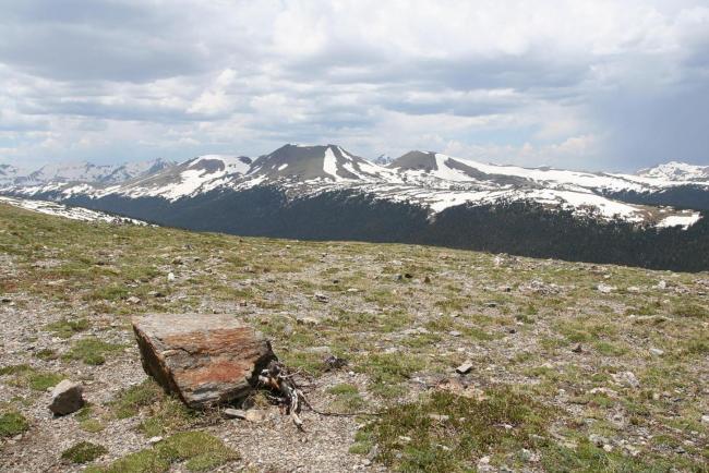 Alpine tundra vegetation with large boulder.