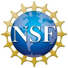 Blue earth encircled by gold human-figures holding hands with NSF in white letters above