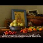 Mitigación, Adaptación y Resiliencia en la Agricultura Puertorriqueña (English subtitles)