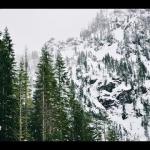 Burial of Alaskan Forests: Glacier Detachments with Mylène Jacquemart