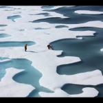 About Arctic Sea Ice with Walt Meier